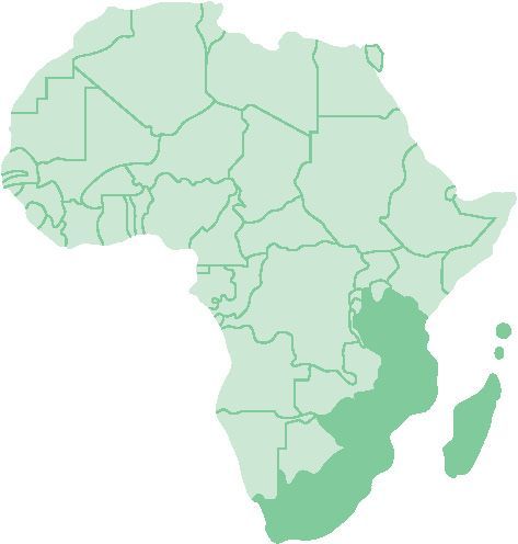 Karte Afrika mit Gr. Karte Afrika mit Gr.