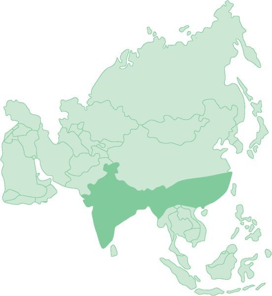 Karte Indien-Thailand Karte Indien-Thailand