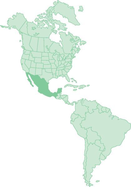 Karte Mexiko Karte Mexiko