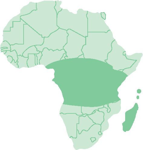 Karte Tropisches Afrika Karte Tropisches Afrika