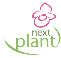 nextplant UG nextplant UG