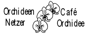 orchideen_netzer orchideen_netzer